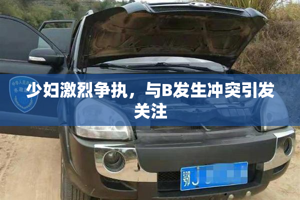 少妇激烈争执，与B发生冲突引发关注