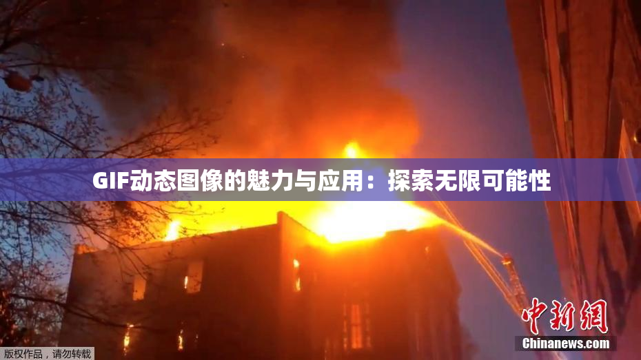 GIF动态图像的魅力与应用：探索无限可能性