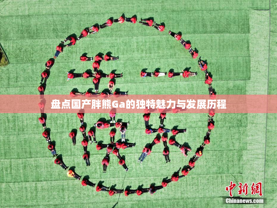 盘点国产胖熊Ga的独特魅力与发展历程
