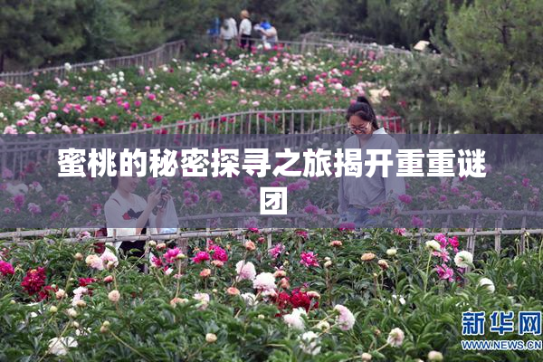 蜜桃的秘密探寻之旅揭开重重谜团
