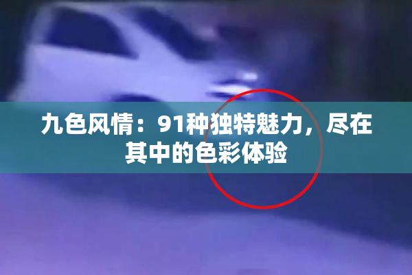 九色风情：91种独特魅力，尽在其中的色彩体验