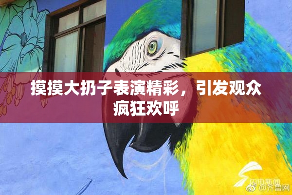 摸摸大扔子表演精彩，引发观众疯狂欢呼