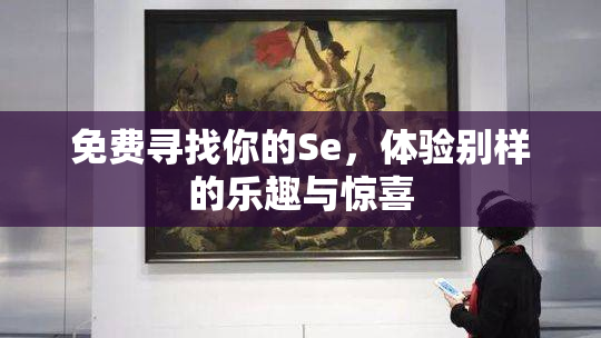 免费寻找你的Se，体验别样的乐趣与惊喜