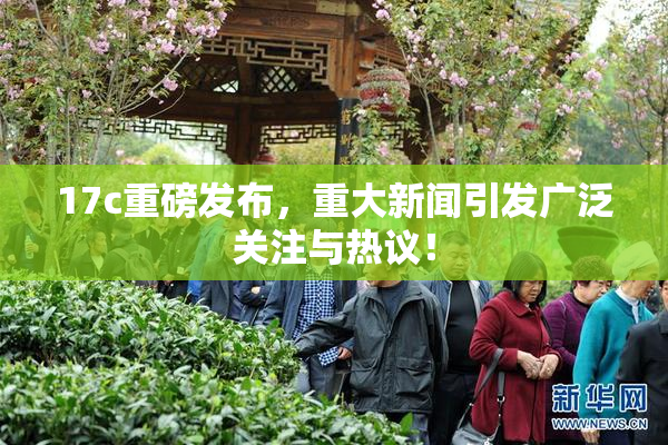 17c重磅发布，重大新闻引发广泛关注与热议！