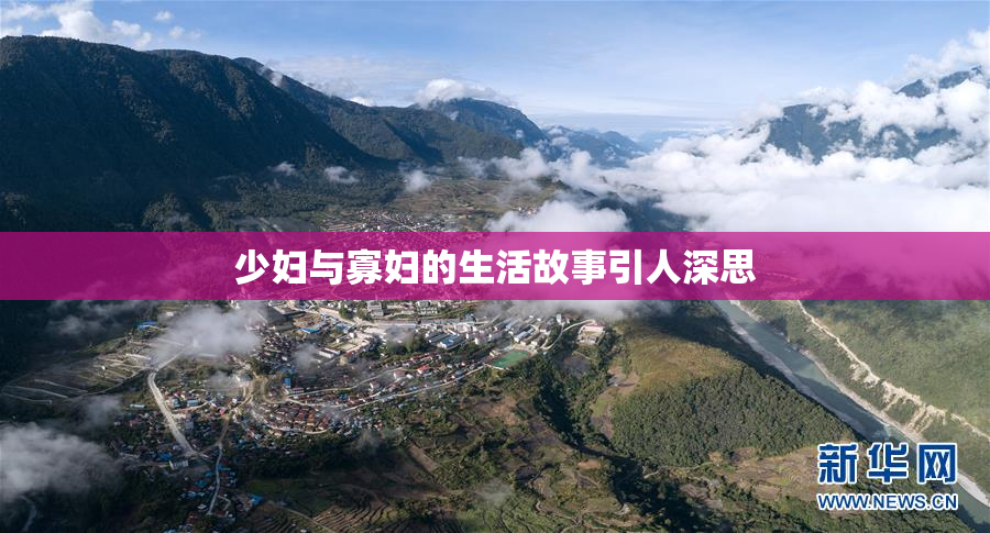 少妇与寡妇的生活故事引人深思
