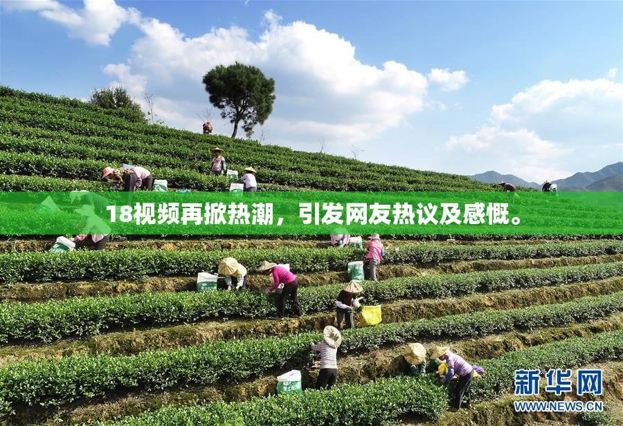 18视频再掀热潮，引发网友热议及感慨。
