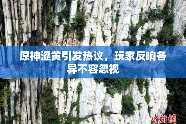 原神涩黄引发热议，玩家反响各异不容忽视