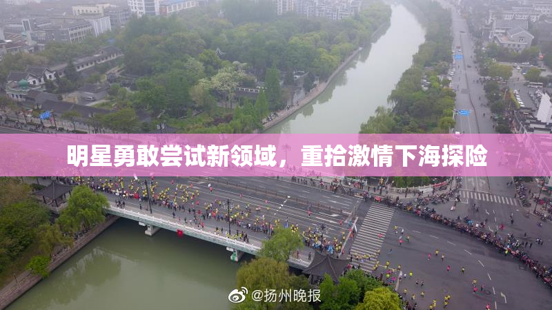 明星勇敢尝试新领域，重拾激情下海探险