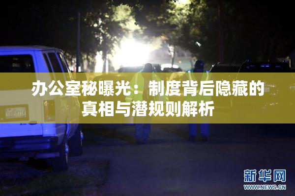 办公室秘曝光：制度背后隐藏的真相与潜规则解析