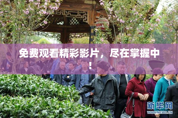 免费观看精彩影片，尽在掌握中！