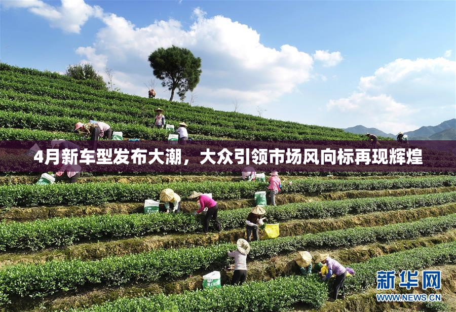 4月新车型发布大潮，大众引领市场风向标再现辉煌