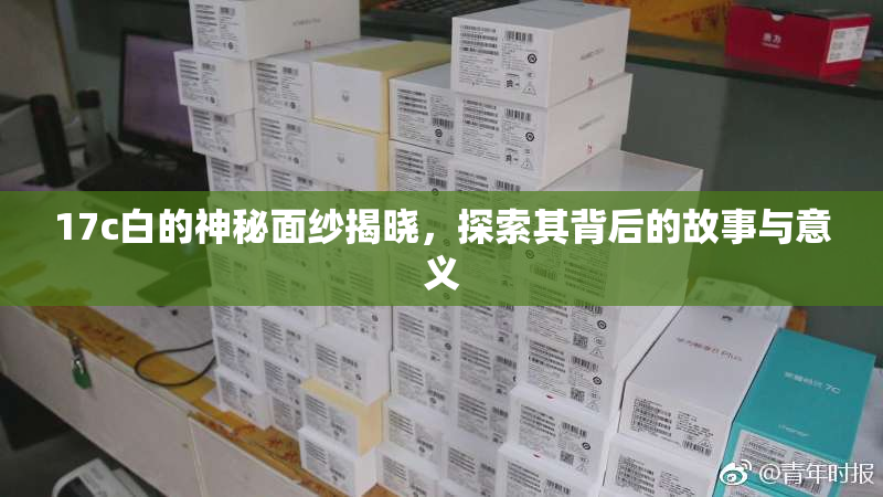 17c白的神秘面纱揭晓，探索其背后的故事与意义