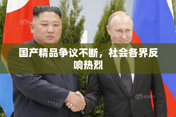 国产精品争议不断，社会各界反响热烈