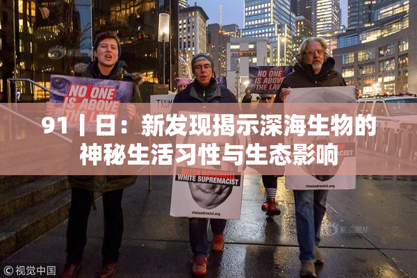 91丨日：新发现揭示深海生物的神秘生活习性与生态影响