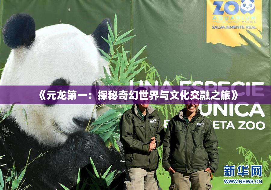 《元龙第一：探秘奇幻世界与文化交融之旅》