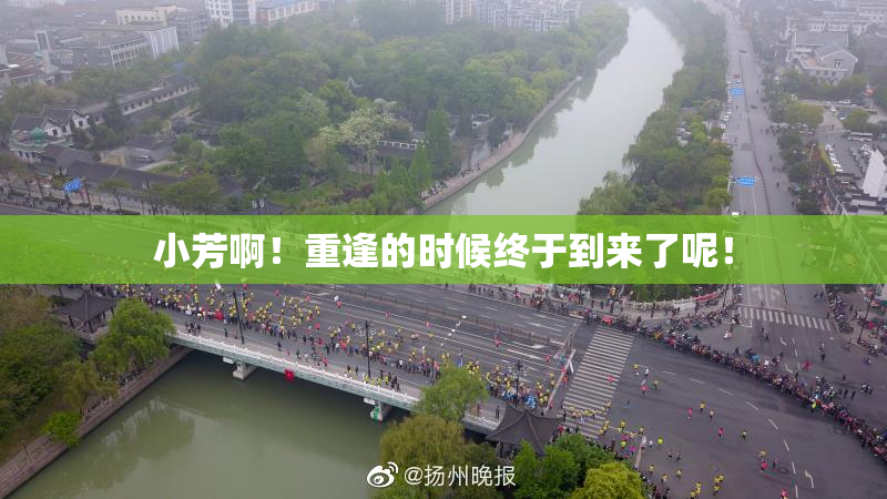小芳啊！重逢的时候终于到来了呢！