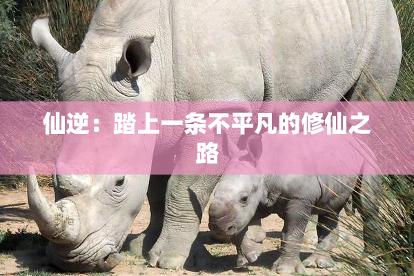 仙逆：踏上一条不平凡的修仙之路