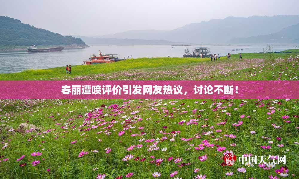 春丽遭喷评价引发网友热议，讨论不断！