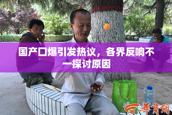 国产囗爆引发热议，各界反响不一探讨原因