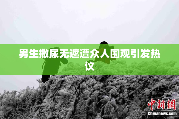 男生撒尿无遮遭众人围观引发热议