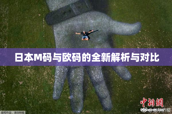日本M码与欧码的全新解析与对比