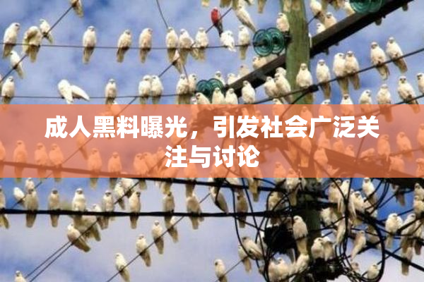 成人黑料曝光，引发社会广泛关注与讨论