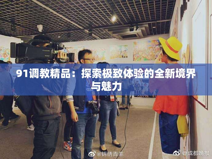 91调教精品：探索极致体验的全新境界与魅力