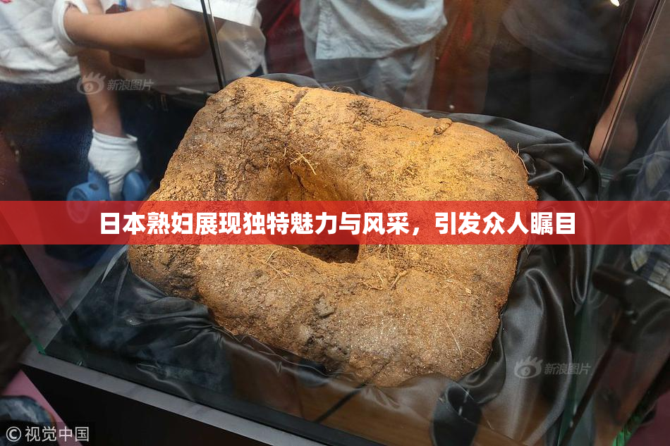 日本熟妇展现独特魅力与风采，引发众人瞩目