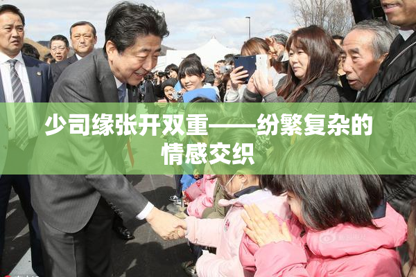 少司缘张开双重——纷繁复杂的情感交织