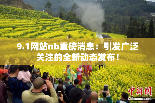 9.1网站nb重磅消息：引发广泛关注的全新动态发布！