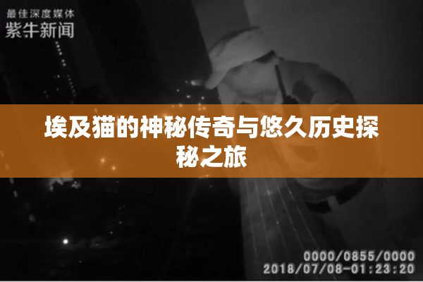 埃及猫的神秘传奇与悠久历史探秘之旅