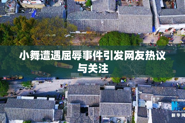 小舞遭遇屈辱事件引发网友热议与关注