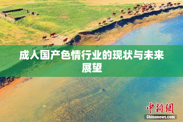 成人国产色情行业的现状与未来展望