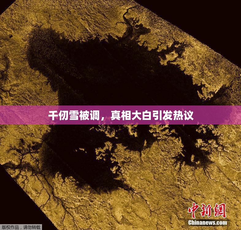 千仞雪被调，真相大白引发热议