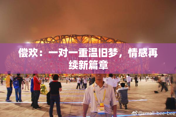 偿欢：一对一重温旧梦，情感再续新篇章