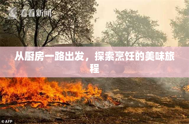 从厨房一路出发，探索烹饪的美味旅程