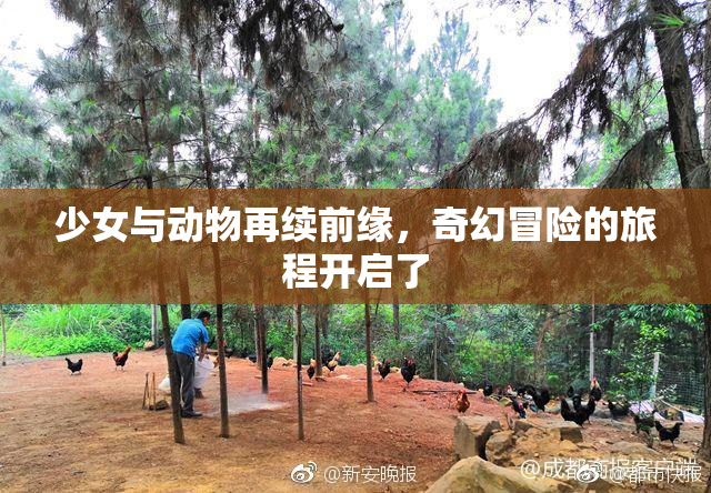 少女与动物再续前缘，奇幻冒险的旅程开启了