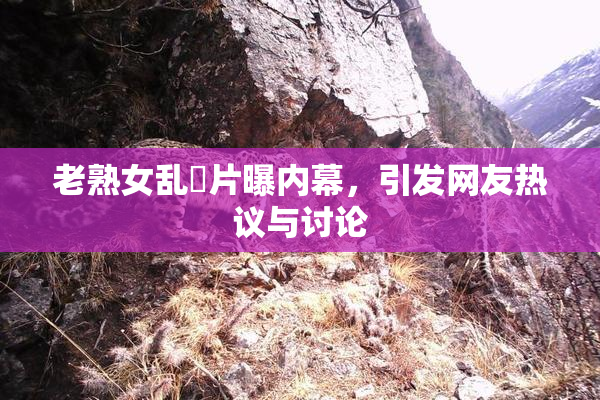 老熟女乱婬片曝内幕，引发网友热议与讨论