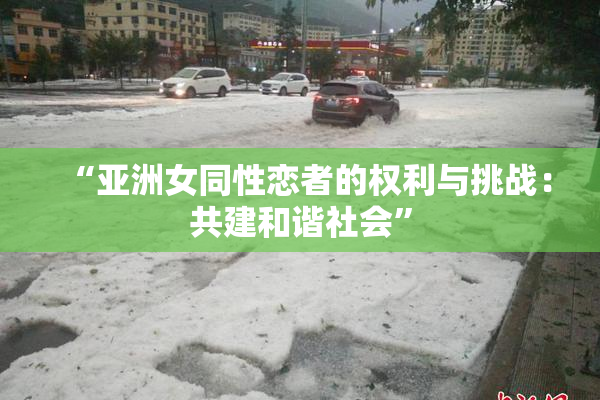 “亚洲女同性恋者的权利与挑战：共建和谐社会”