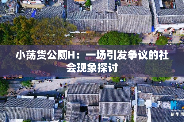 小荡货公厕H：一场引发争议的社会现象探讨