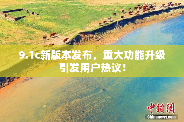 9.1c新版本发布，重大功能升级引发用户热议！