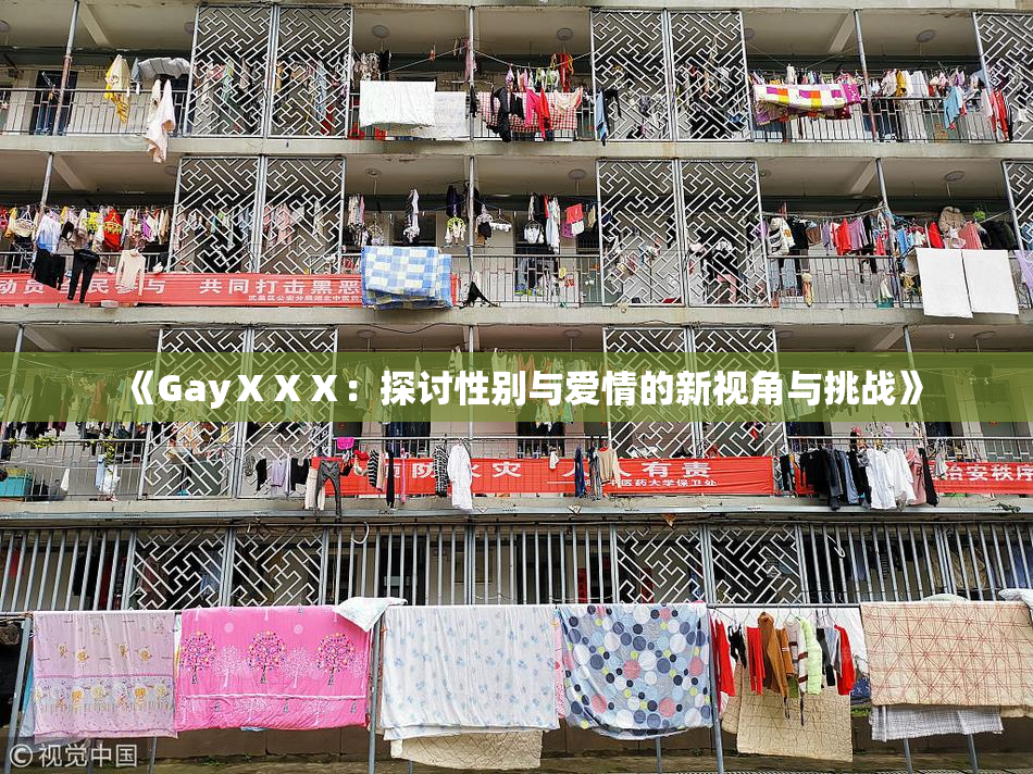 《GayⅩⅩⅩ：探讨性别与爱情的新视角与挑战》