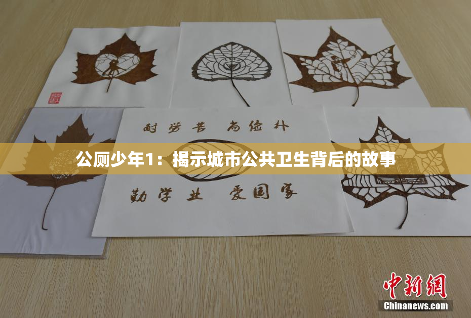 公厕少年1：揭示城市公共卫生背后的故事