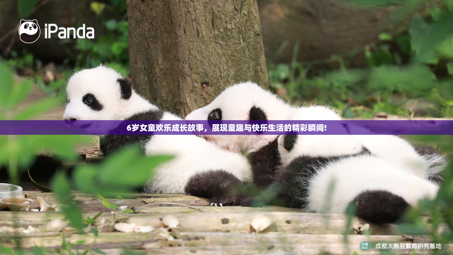 6岁女童欢乐成长故事，展现童趣与快乐生活的精彩瞬间!