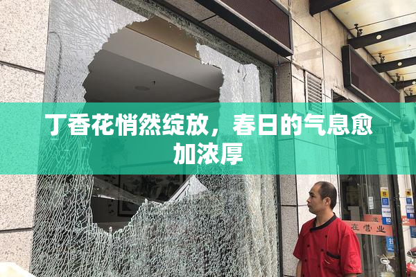 丁香花悄然绽放，春日的气息愈加浓厚