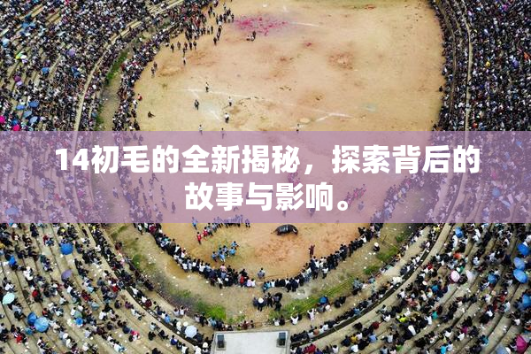 14初毛的全新揭秘，探索背后的故事与影响。