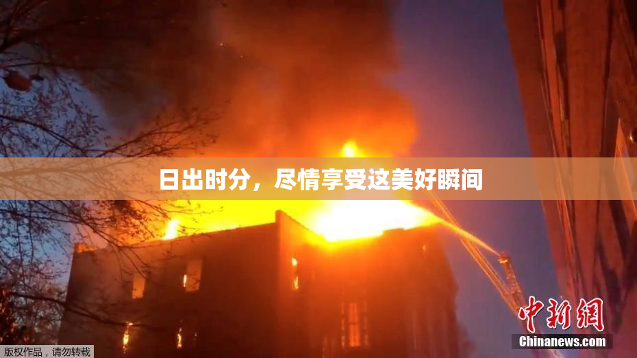 日出时分，尽情享受这美好瞬间