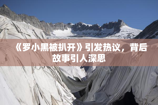 《罗小黑被扒开》引发热议，背后故事引人深思