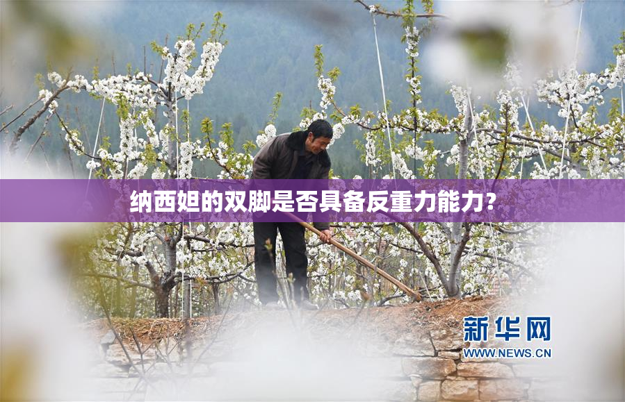 纳西妲的双脚是否具备反重力能力？