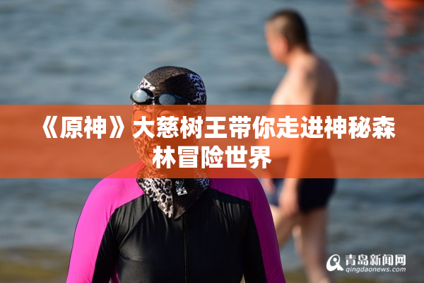 《原神》大慈树王带你走进神秘森林冒险世界